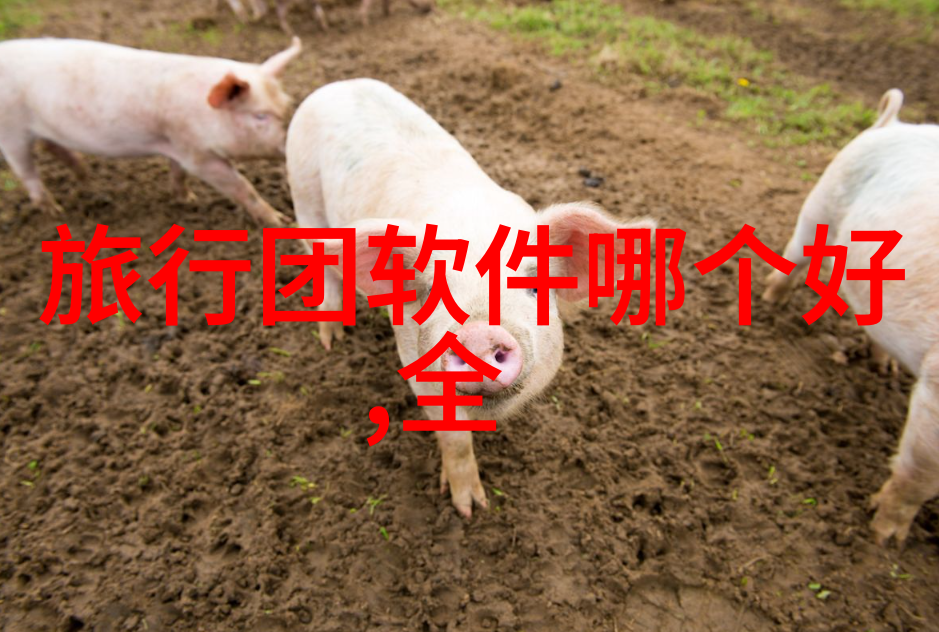 云南旅游最佳时间春暖花开夏日炎炎秋高风物丽冬雪皑皑探秘四季美景