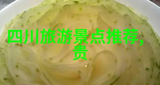出国旅行的前行指南必备手续与准备