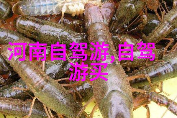 探秘野象谷非洲大草原上的一片绿意盎然