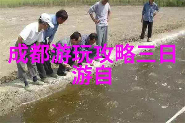 小学阶段儿童应该参与哪些特定的户外体育运动以增强心肺功能和耐力训练