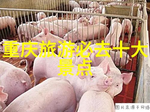 北京美食奇遇追逐京味小吃的故事
