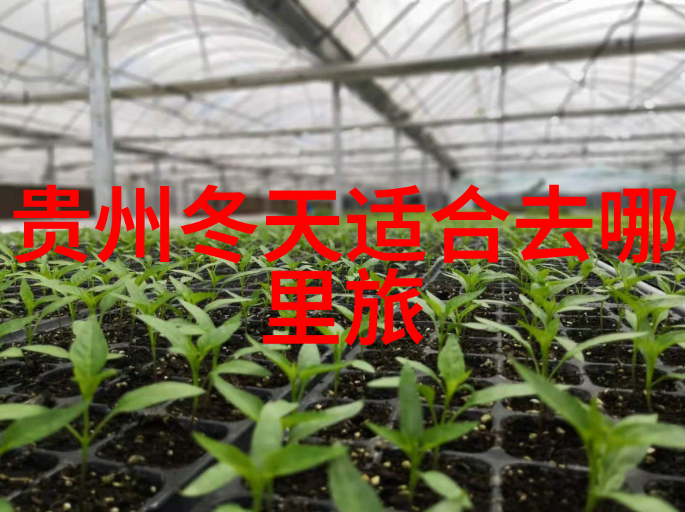 荒漠里的海洋穿越沙丘的奇遇