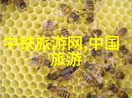 风暴骑士极速穿梭的秘密世界