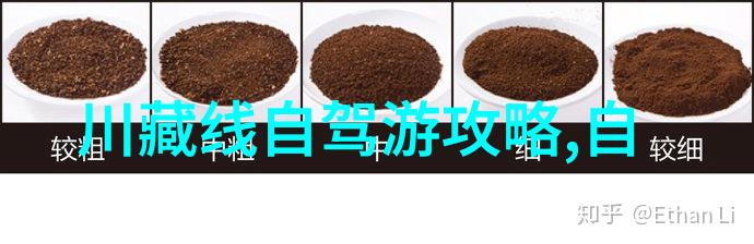 一篇游记作文450字我走过的那条风景如画的小路