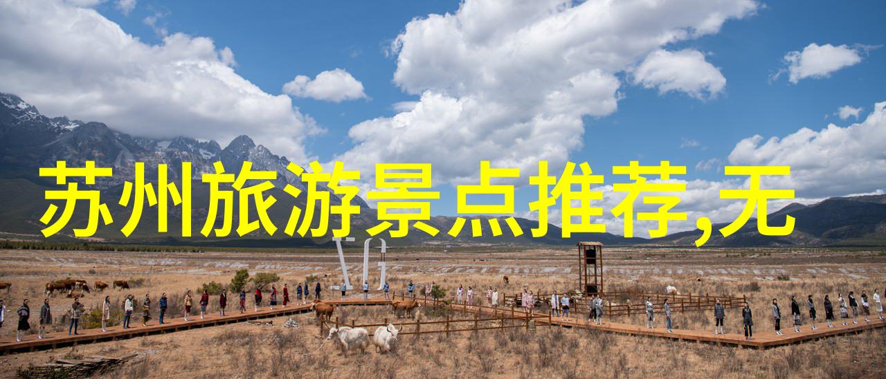 探秘世界美食之都一份不可忽视的美食攻略