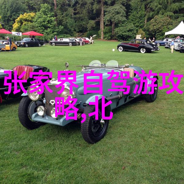 户外探索大班幼儿的自然游戏之旅