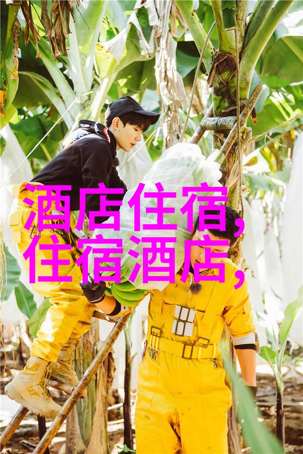 峨眉山从喧嚣到静谧探秘这座古老山脉的反差之旅