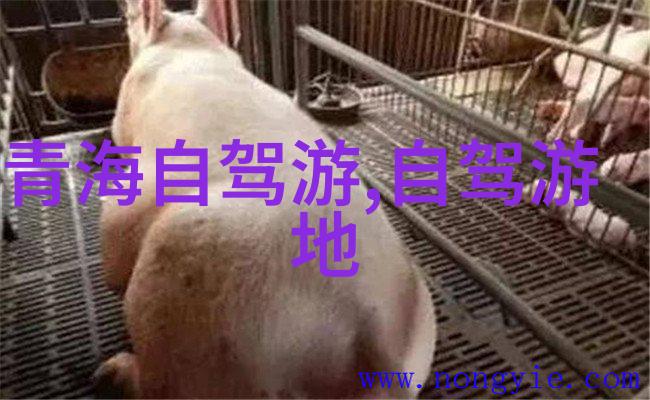 中国旅游景区排名-探秘最受欢迎的旅行目的地