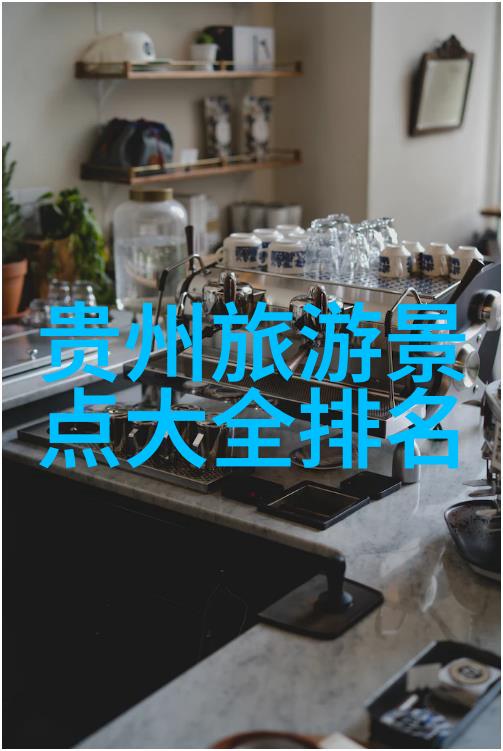 一家之主的十一大冒险挑战未知的美食之旅
