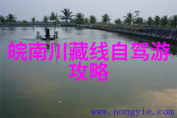 校园招聘风暴来袭中国旅游集团2021年的挑战与机遇