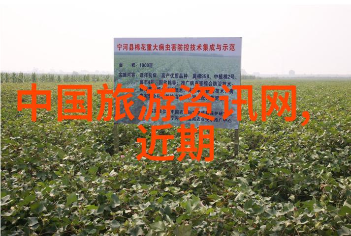 旅游攻略分享如何避免常见的旅行误区