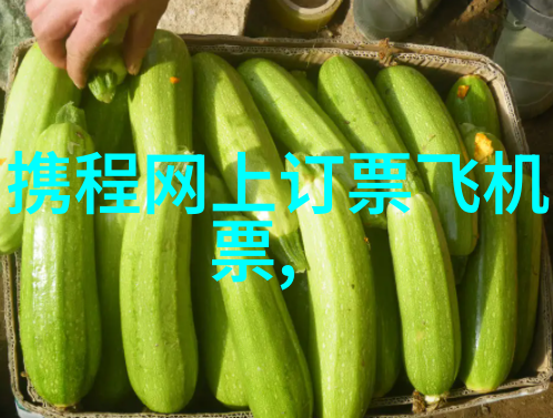 风景线绘制国土篇章的旅行者