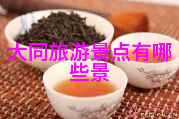 探秘森林之谜我的三天冒险