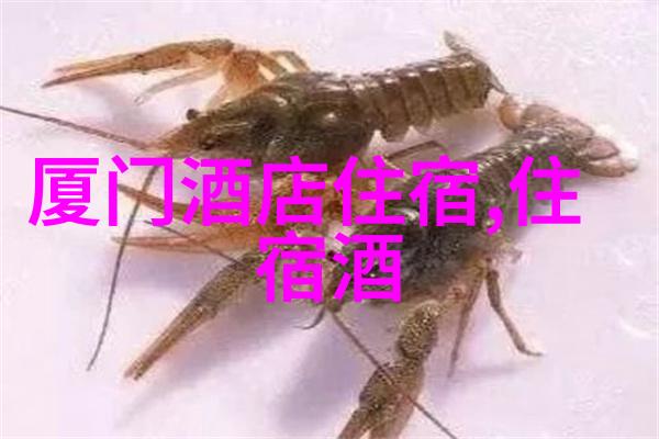 蒙古草原的呼唤探秘呼和浩特的美丽之都