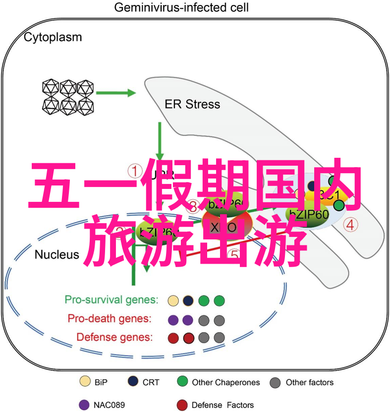 旅途中的艺术感悟在成都到九寨沟的路上发现生活美学