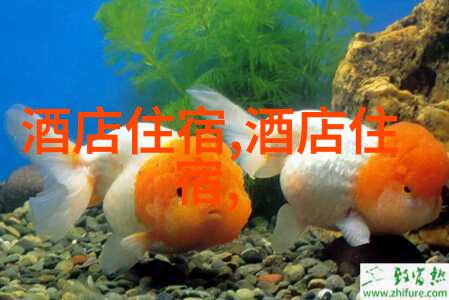 西游记探幽梦幻中的智慧与勇气