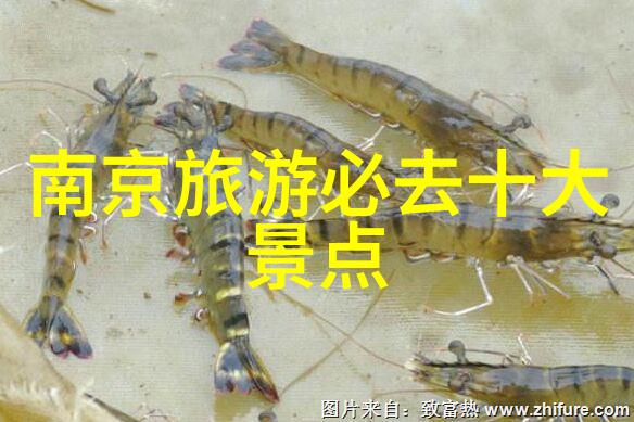 拓展训练室的秘密武器如何激发孩子们的潜能