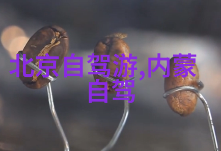 西游记小说我也要去取经了