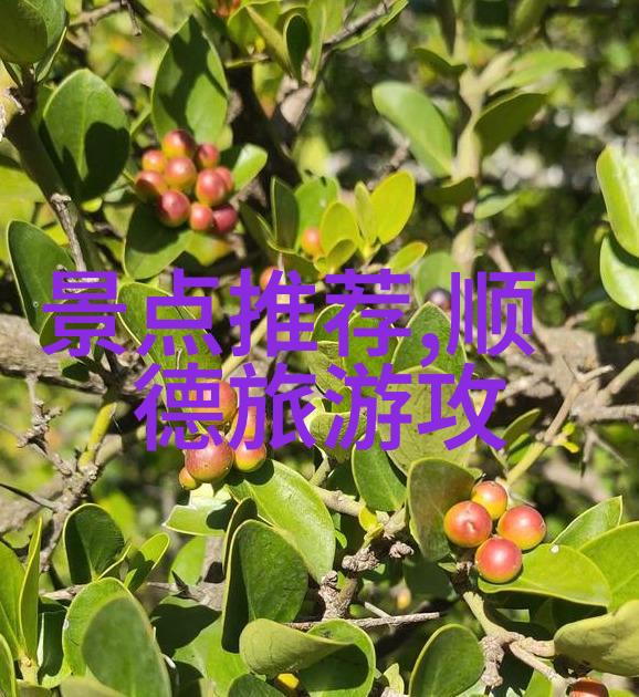 骑行健体探索自行车运动对身心健康的多重益处