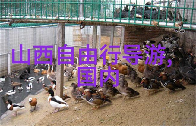 绍兴旅游景点攻略-探索古韵美景绍兴游记必览地标
