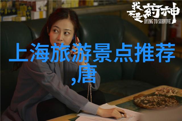 海外游学之谜揭开那一笔不可思议的数额
