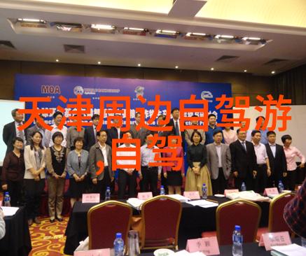 团队建设拓展游戏全集增强团队协作能力的趣味活动