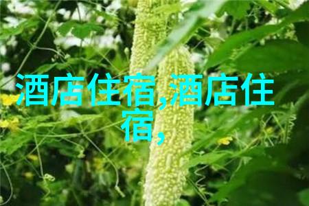 南泉寺