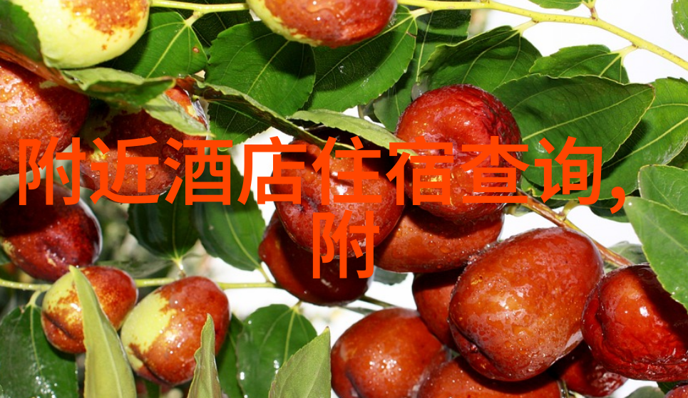 美食攻略我的味蕾旅行从小吃到大餐一步步品味中国美食的秘密