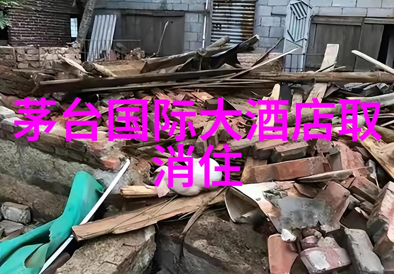 上海自由行旅游全攻略来吧我的小伙伴让我们一起探索这座充满历史与现代的美丽都市