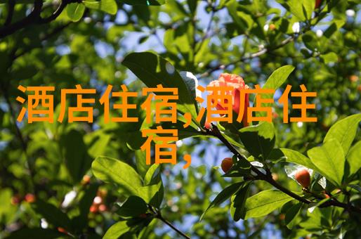 情侣野营帐篷的眼睛在昆明周边寻觅着适合露营过夜的美丽地点
