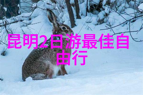 东北夏季游记揭秘那些隐藏在古镇深处的故事