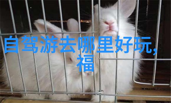 上海悠然民宿舒适体验