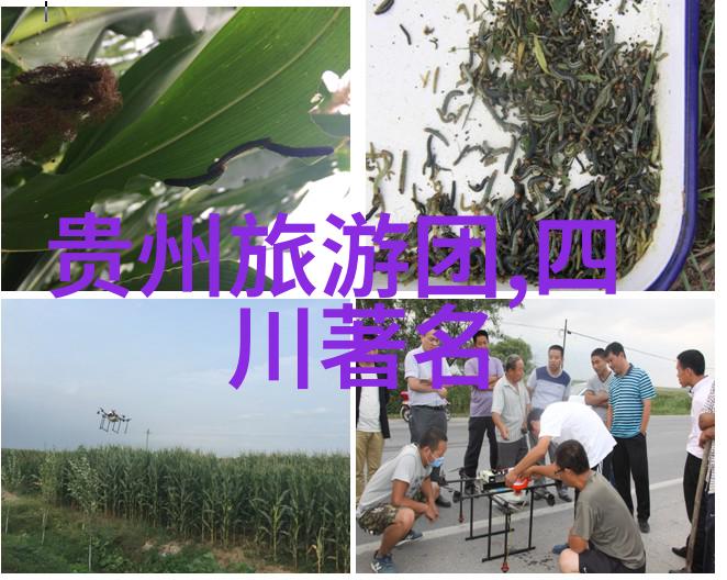 金秋旅行探索中国美丽乡村