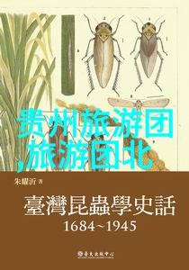 自行车骑行技巧与要领骑行技术基础安全驾驶注意事项体能锻炼方法路线规划策略