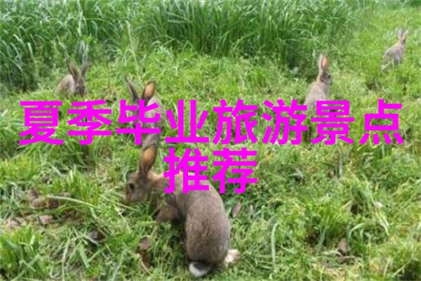 雅凤陈氏宗祠