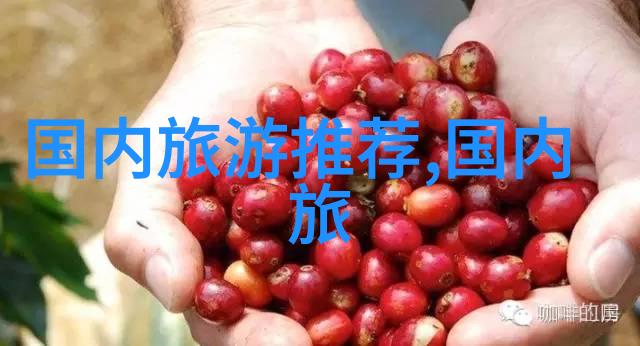 美洲自然奇观尼亚加拉瀑布探秘