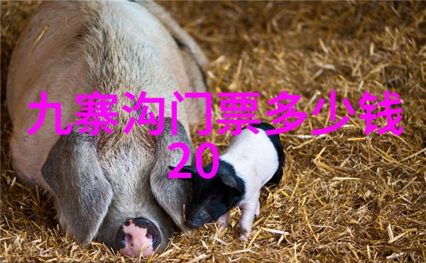 上海著名小吃排行 - 品味上海最受欢迎的美食指南