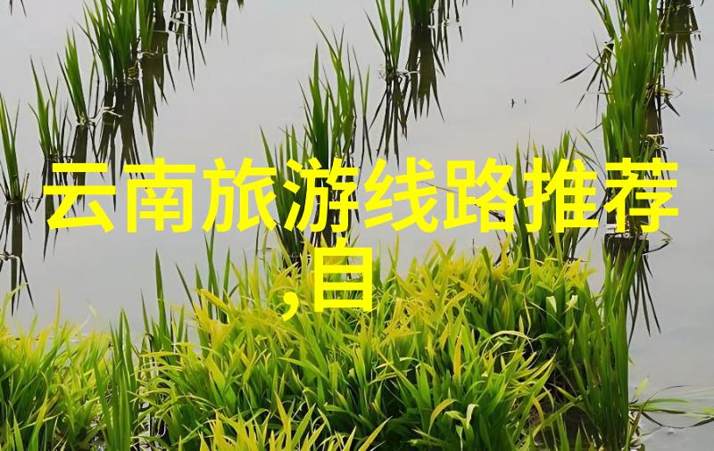 异域风华纷繁世界之旅
