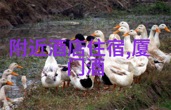 北方传统佳肴中炖煮类食品有哪些推荐
