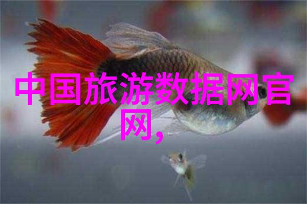 318自驾游从山东到云南的离奇冒险