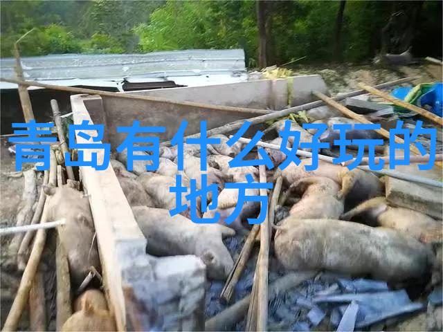 探秘湘江边畔长沙周边自驾游必访景点