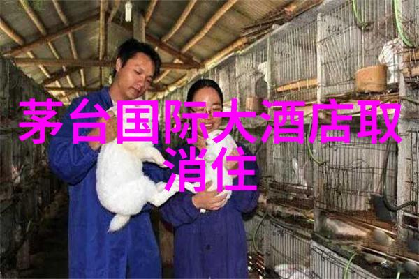 夏日旅行必去8月的最佳目的地有哪些