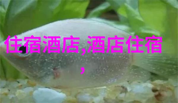 跟团旅游价格亲测揭秘我是如何在不破产的情况下玩转全球的