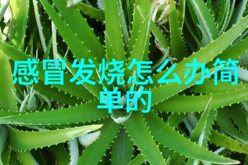 新疆必去的11个景点来吧我带你一探究竟