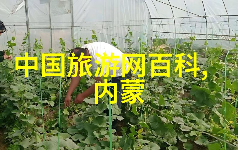 蓝月谷星辰下的古老守护者