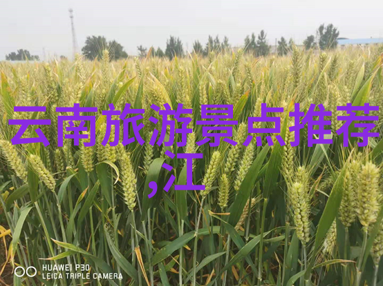 骑行的好处亲身体验那份自由与活力