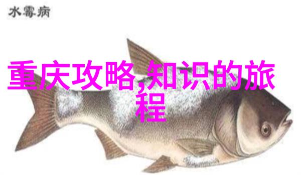 激发潜能塑造未来儿童拓展训练项目介绍