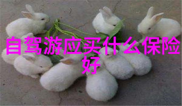 胡贵墓