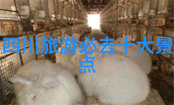 星辰的迷失与寻觅