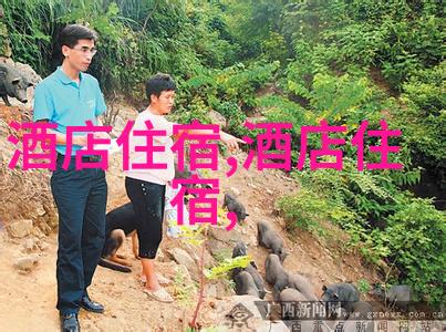 火山之恋记一趟到台湾火山国家公园的旅行